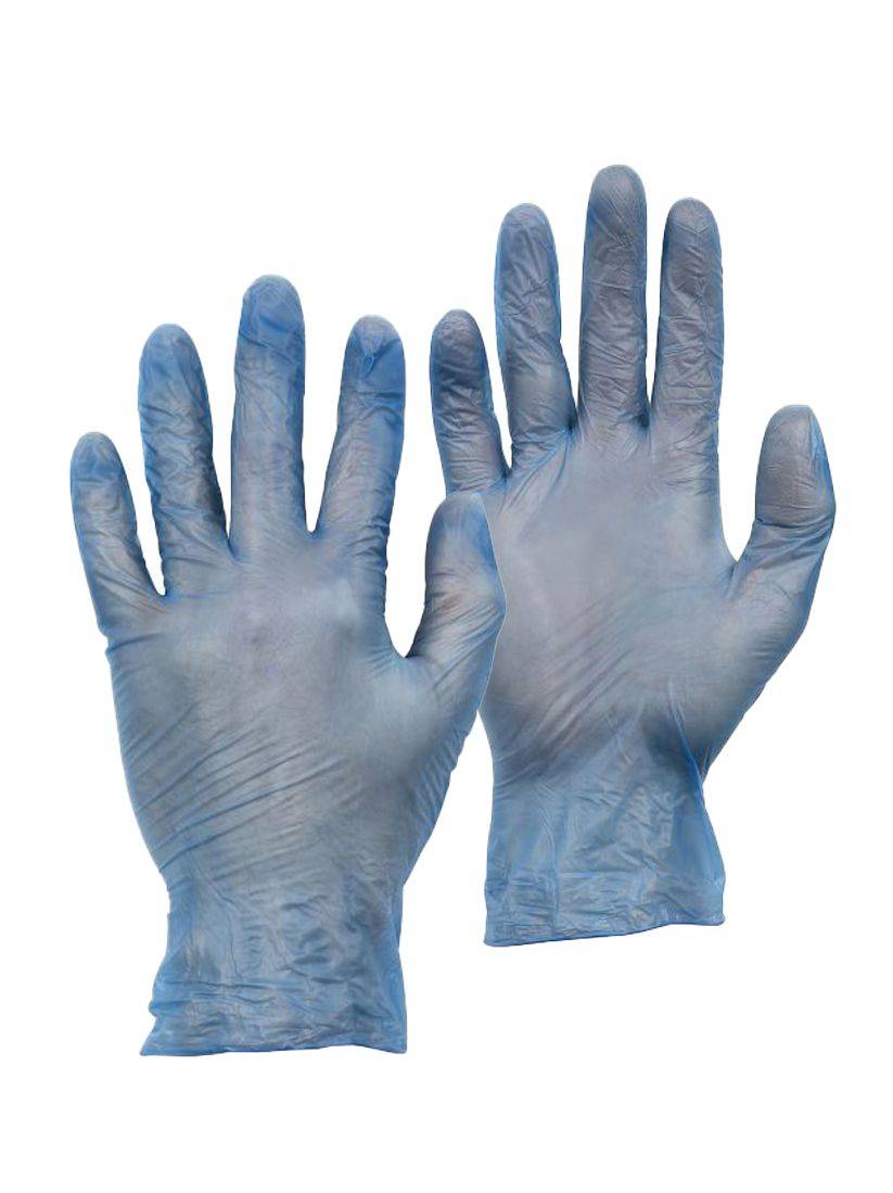 Warrior Vinyl Glove XL Blue Box 100