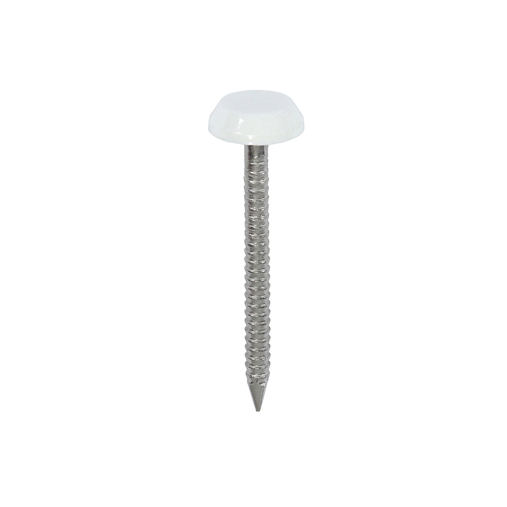 Polymer Headed Nail (Stainless Steel) - White 40mm - 100 PCS