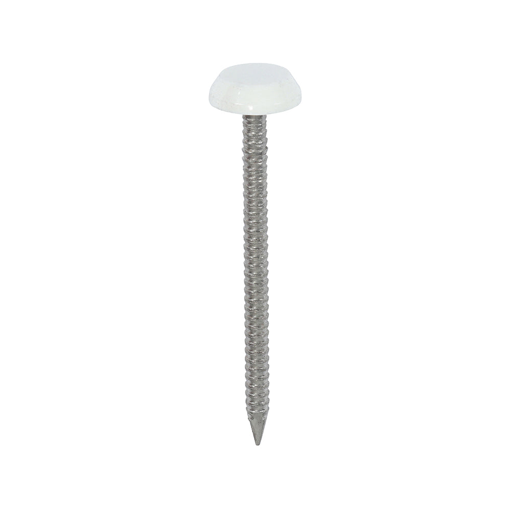 Polymer Headed Nail (A4 Stainless Steel) - White 50mm - 100 PCS