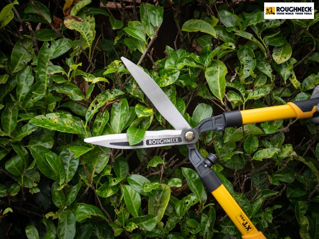 Roughneck XT Pro Hedge Shears 635mm (25in)
