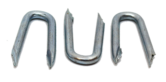 50 x 5mm Galvanised Staples (2.5kg Bag) UF Brand 42865