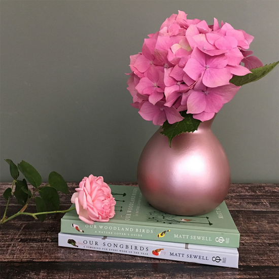 PlastiKote Fast Dry Enamel Aerosol Night Blue 100ml