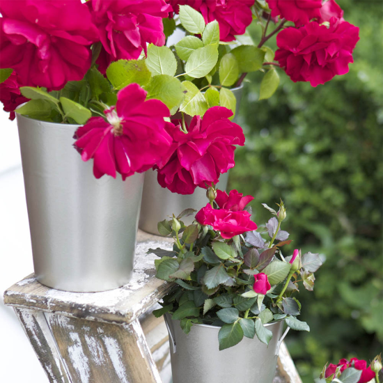 PlastiKote Fast Dry Enamel Aerosol Night Blue 100ml