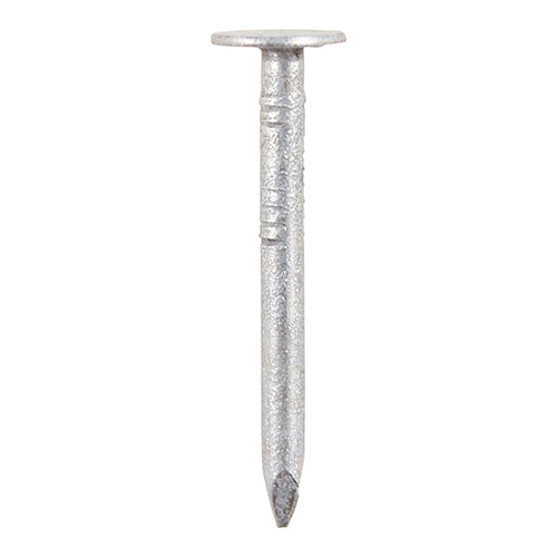 Clout Nails - Galvanised 40 x 2.65mm - 2 KG