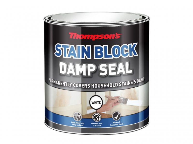 Ronseal Thompsons Damp Seal Paint 250ml