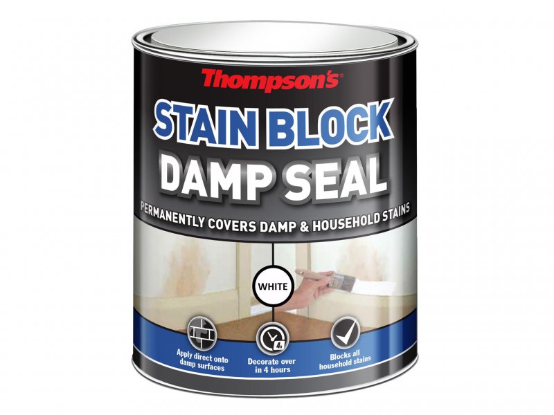 Ronseal Thompsons Damp Seal Paint 750ml