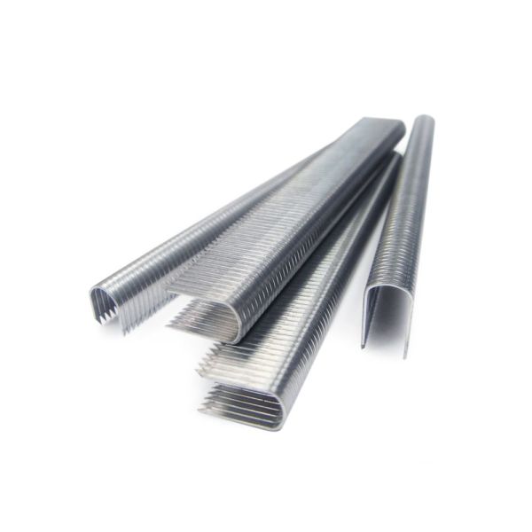 TACWISE PLC CT60 10mm Galvanised Cable Staples, 5000 Pack -  0354